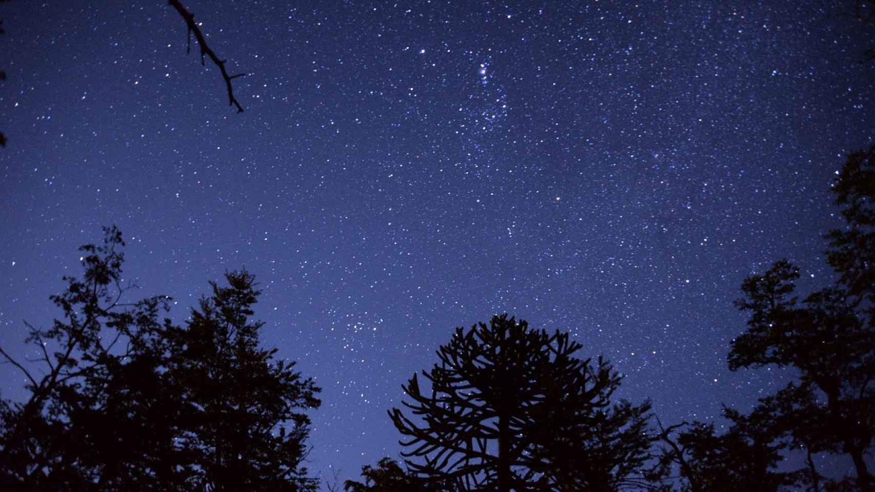 Cada vez vemos menos estrellas en la noche por la contaminación lumínica
