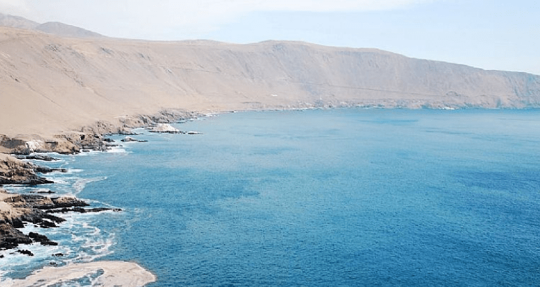 Chile aprobó la creación del área protegida Mar de Pisagua