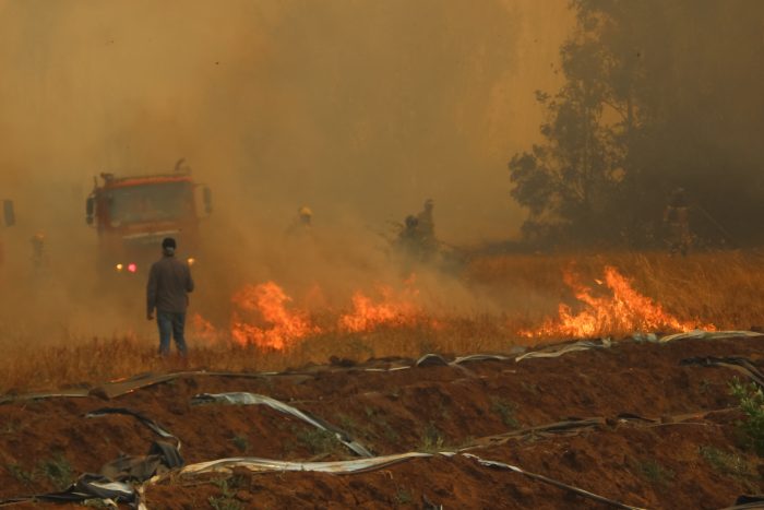 Conaf cerrará siete parques nacionales por riesgo a incendio forestal
