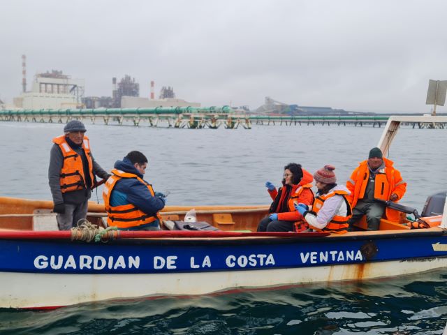 Estudio detecta alta presencia de metales pesados en bahía de Quintero-Puchuncaví